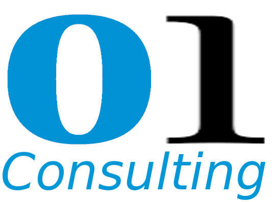 01 Consulting